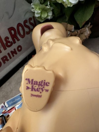 画像3: Disneyland Dug Dog magic key holder popcorn bucket / ディズニーランド　ダグ　犬　ポップコーン　バケット　バケツ　