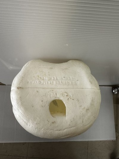 画像3: Bud Light Spuds Mackenzie plastic coin bank / バドライト スパッズ マッケンジー プラスチック 貯金箱