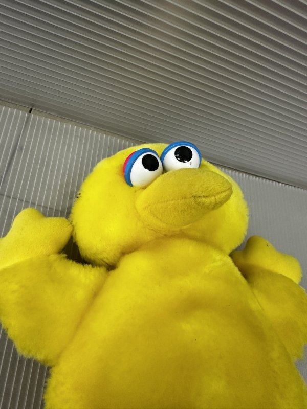 画像8: Sesame Street Child Dimension big bird (S) plush Doll 1992/ セサミストリート　ビッグバードのぬいぐるみ　 (8)