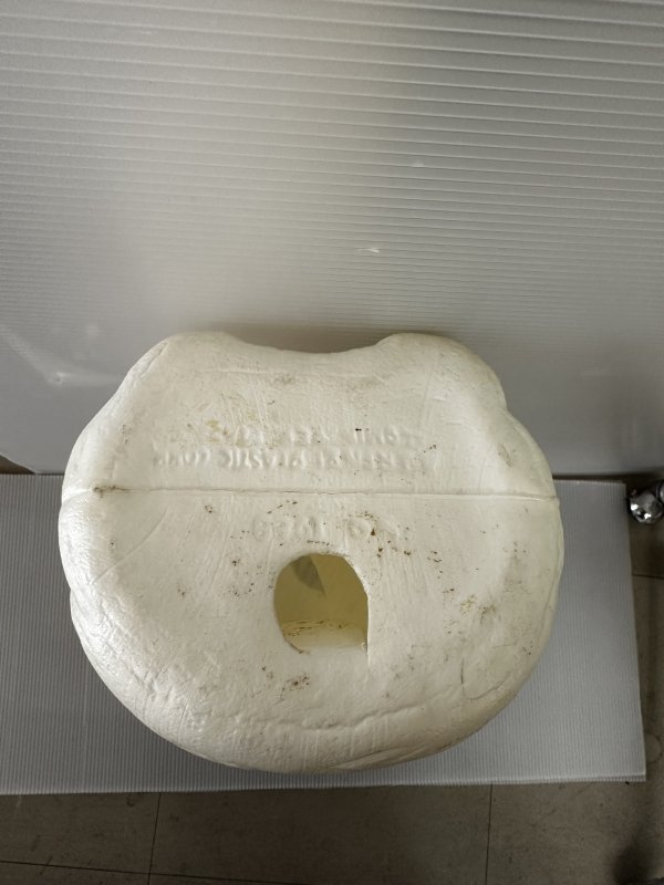 画像9: Bud Light Spuds Mackenzie plastic coin bank / バドライト　スパッズ　マッケンジー　プラスチック　貯金箱 (9)