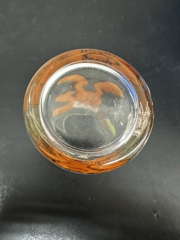 画像9: Rocky Pepsi Collector Series Glass (B) / ロッキー＆ブルウィンクル　ペプシ　グラス (9)