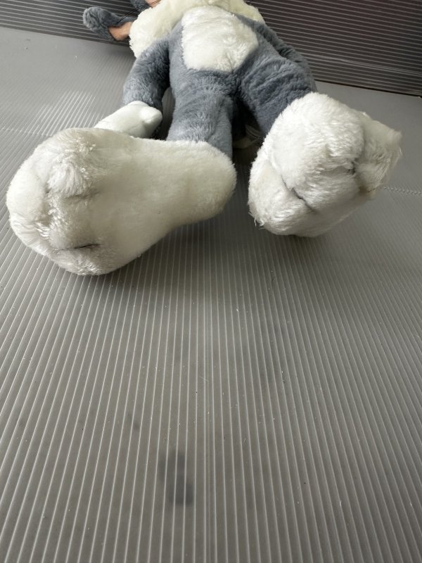 画像7: Looney Tunes Bugs Bunny Plush Doll 1989 / ルーニーチューンズ　バックスバニー　ぬいぐるみ　 (7)